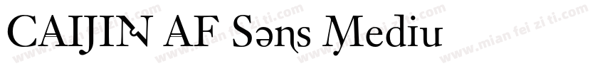 CAIJIN AF Sans Mediu字体转换